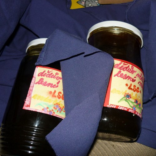 Dědův včelí lesní med/2011- 1kg — foto 4