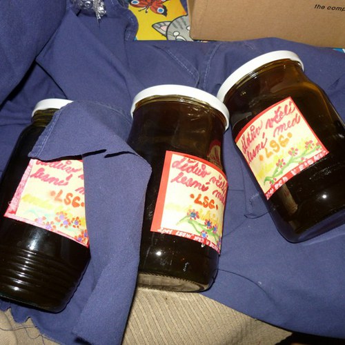 Dědův včelí lesní med/2011- 1kg — foto 5