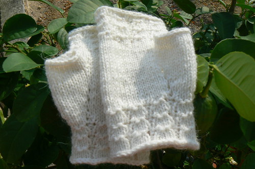 Bílé angoráčky — foto 3