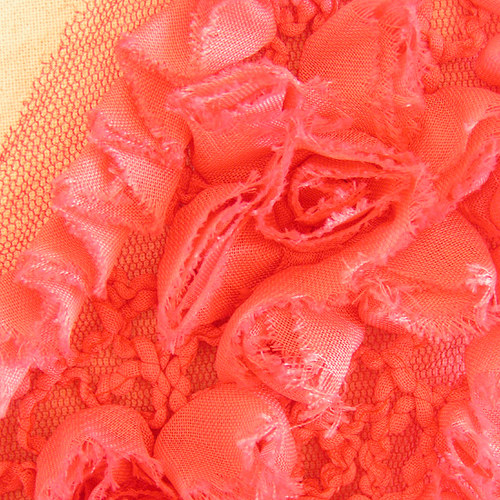Růžová zahrada — foto 3