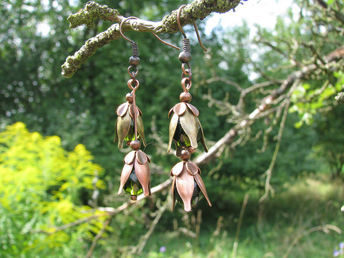 Tulí se tu tulipáni — foto 2