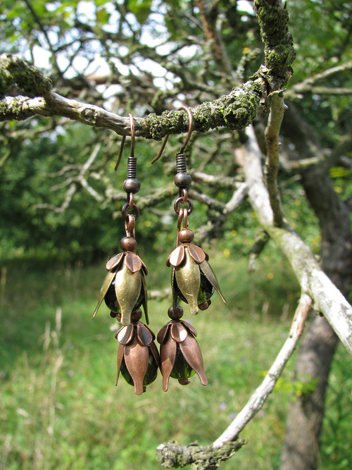 Tulí se tu tulipáni — foto 5
