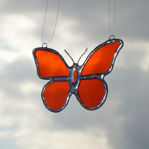 Oranžový motýl — foto 2