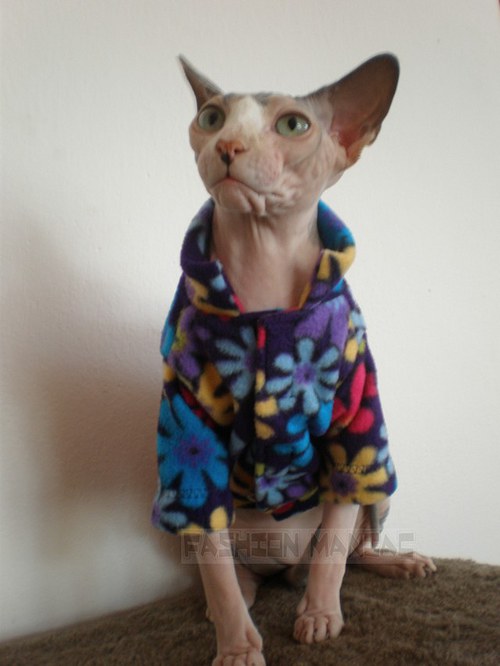 Mikina pro sphynx — foto 2