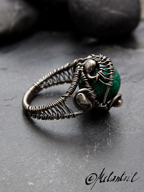 Dragon — foto 4