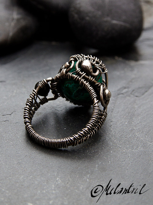 Dragon — foto 5