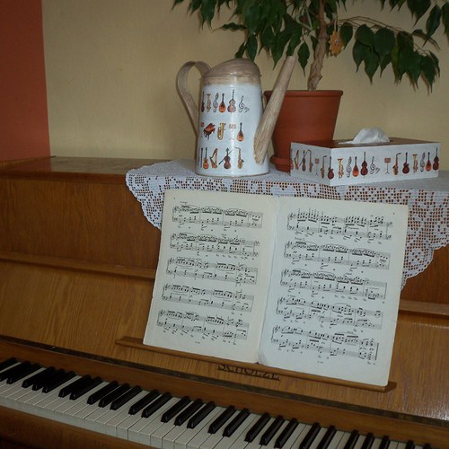 Krabička do hudebního salónu — foto 2