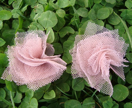...blossom old pink... — foto 2