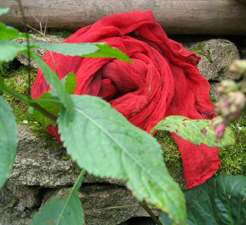 Červená A Červená — foto 2