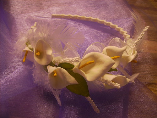 Čelenka s kalami — foto 2