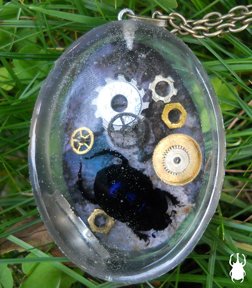 Co se děje pod vodou? — foto 2
