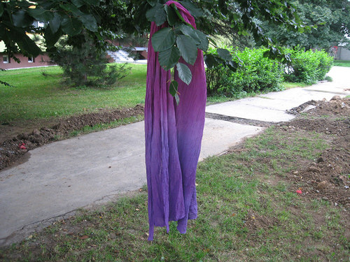 Švestkobraní — foto 2