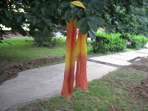 Podzimní listí — foto 3