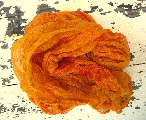 Pomerančový Afrikán — foto 2