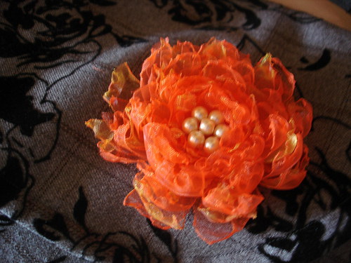 Fiorino — foto 4