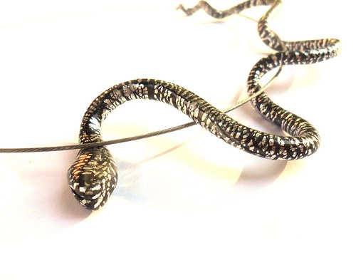 SSSSsnake — foto 4