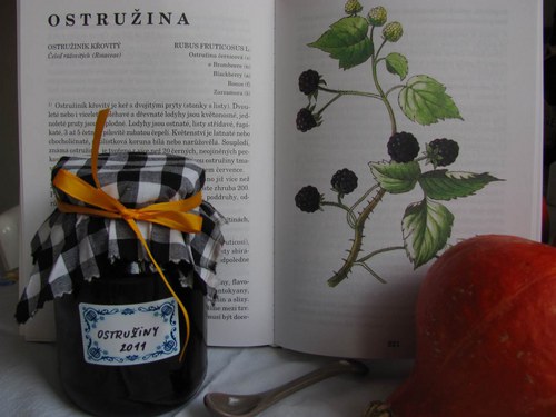 Ostružinový džem — foto 6