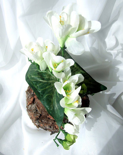 Bílé frézie v kůře — foto 2