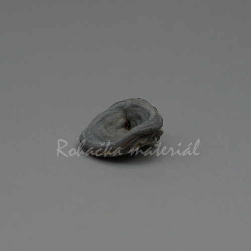 Chalcedon (hadí kámen) — foto 3