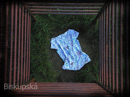 Kytkovaná — foto 4