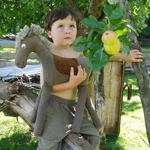 Grošák — foto 3