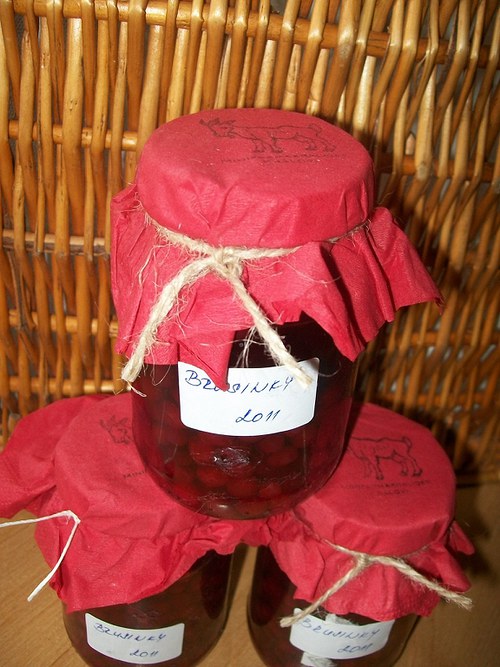 Brusinky 2011 — foto 2