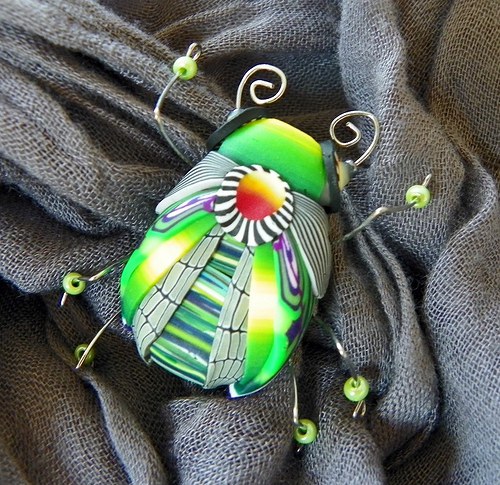 Brož hmyzák vodníček — foto 4