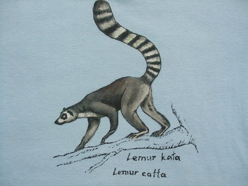 Lemurek — foto 2