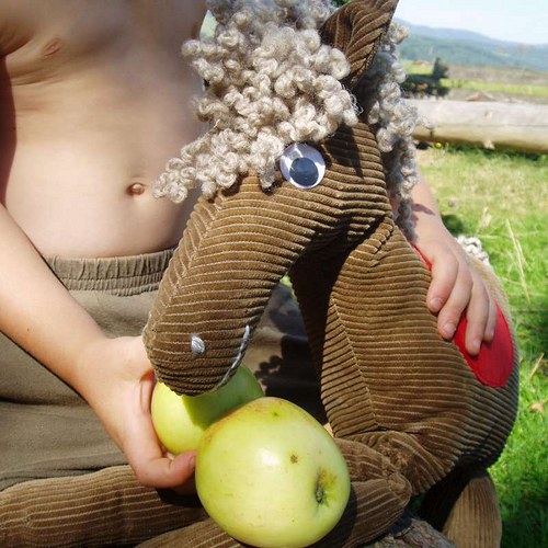 Hnědák-manšestráček — foto 5
