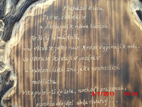 Věnování — foto 2
