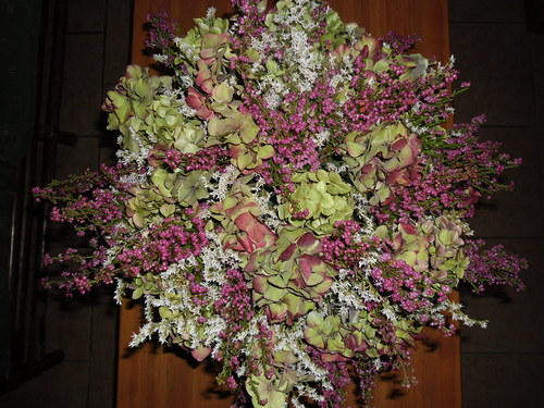 Andělský plecháček — foto 2
