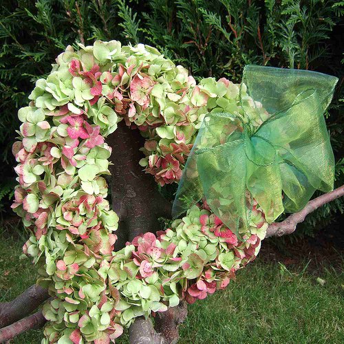 Hortenzie v srdci mém 2 — foto 5