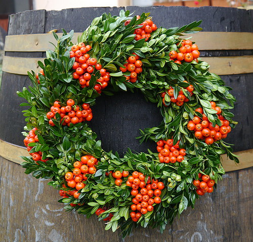 Buxus a jeřabinky ... — foto 2