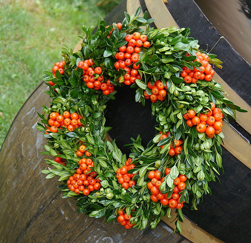 Buxus a jeřabinky ... — foto 3