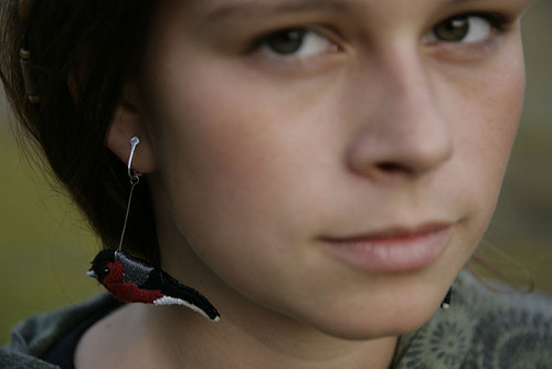 Hýl obecný — foto 3