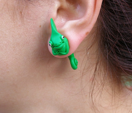 Chameleonci — foto 2