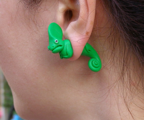 Chameleonci — foto 3