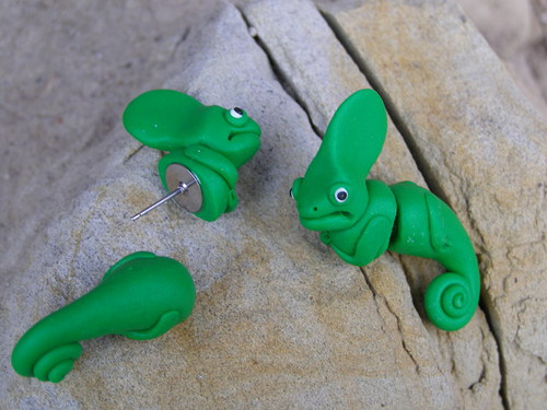 Chameleonci — foto 4