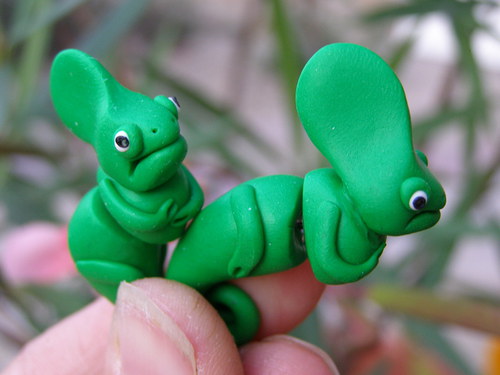 Chameleonci — foto 5