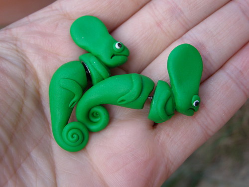 Chameleonci — foto 6