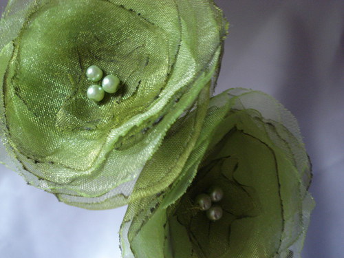 Zelená čelenka — foto 2