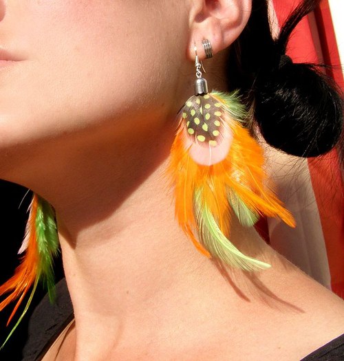 Kakadu orange — foto 2