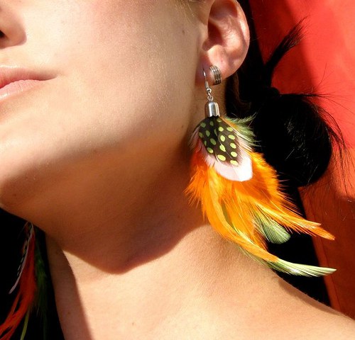 Kakadu orange — foto 6