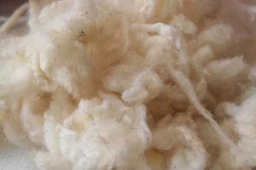 Ovčí rouno prané_nečesané 150g — foto 2