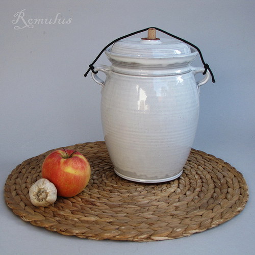 Kvašák bílý (2,2 l) — foto 2