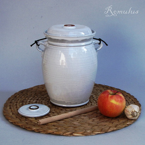 Kvašák bílý (2,2 l) — foto 3