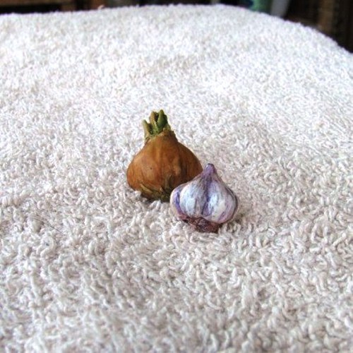 Naušky proti upírům — foto 4