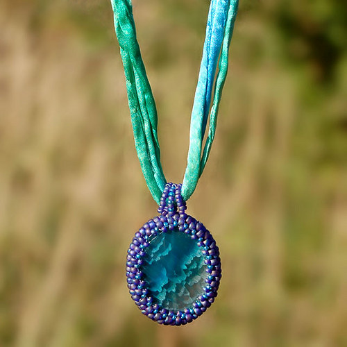Paví chalcedon — foto 2