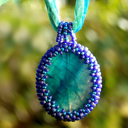 Paví chalcedon — foto 3