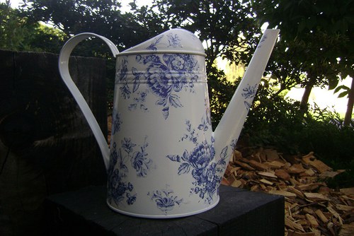 Cibulákova hladká — foto 3